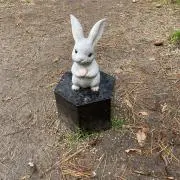 ブルーの画像
