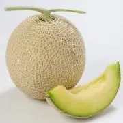 decameronの画像