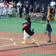 ぽんすけの画像