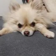ひろ