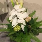 masa ※プロフィールを必読の画像