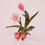 nanako お値下げいたします！の画像