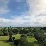 モヨ夫の画像