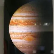 いろりんの画像