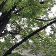 miki⭐︎プロフ必読の画像