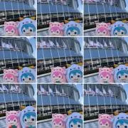 ゆーちゃんの画像