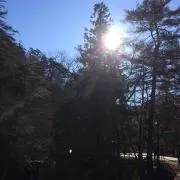 トイレ掃除