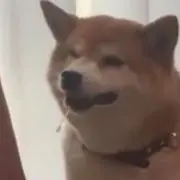 とたけけの画像