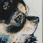 チワワの画像