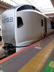 PANCHOの画像