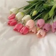 らららの画像