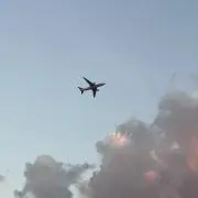 わーの画像