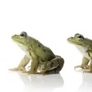しゅんつーの画像
