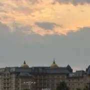 こうめの画像