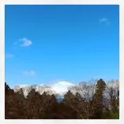 hyugajiの画像