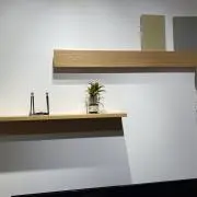 shinoの画像