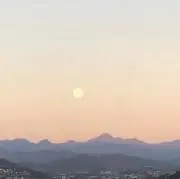 Ponzの画像