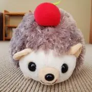 tomuto