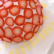 トトの画像