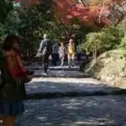 Miho Tanakaの画像