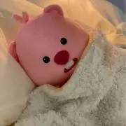 kinokoの画像