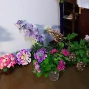 Mona✩の画像