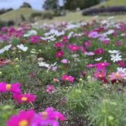 riic65の画像