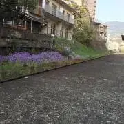 あみ❇︎