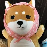 羅夢の画像