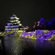 kayoの画像