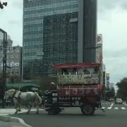ともの画像