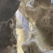 cysiiの画像
