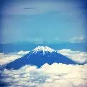 djungarianの画像