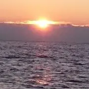 未來の画像