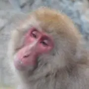 Mr.バリューの画像