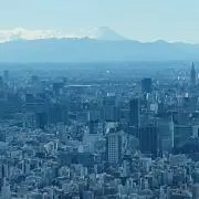 R-Yの画像