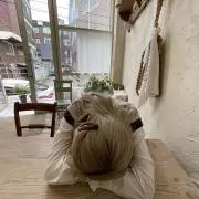 cocoの画像