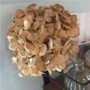 s.k