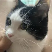 けいうん@プロフ確認要