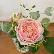 gigiの画像
