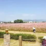みゃーち