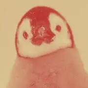 ひの画像