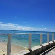 あんこ『断捨離中/古着好き/双子/海外』の画像
