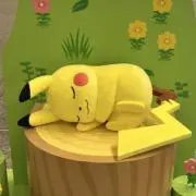 そるとの画像