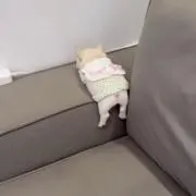 m.☆の画像