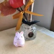 ぴーすけの画像