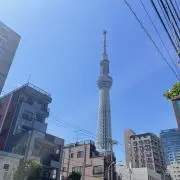 夏を待つセイルのようにの画像