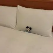 はるちの画像