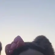 ゆの画像
