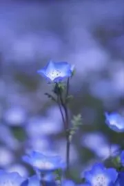 rainの画像